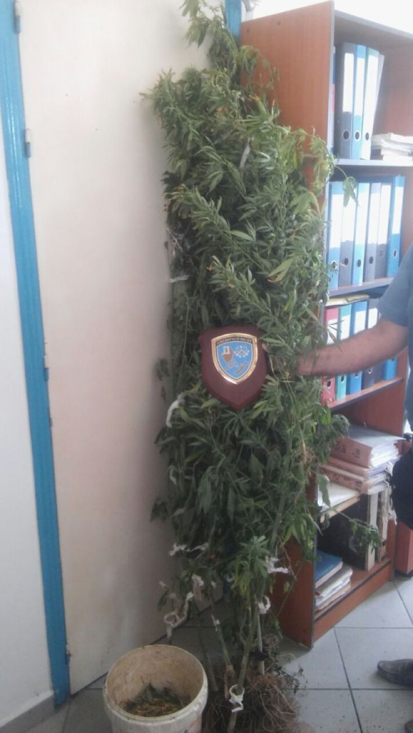 kanavi kalamiones 00