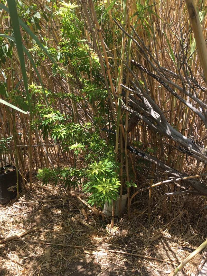 kanavi kalamiones 01