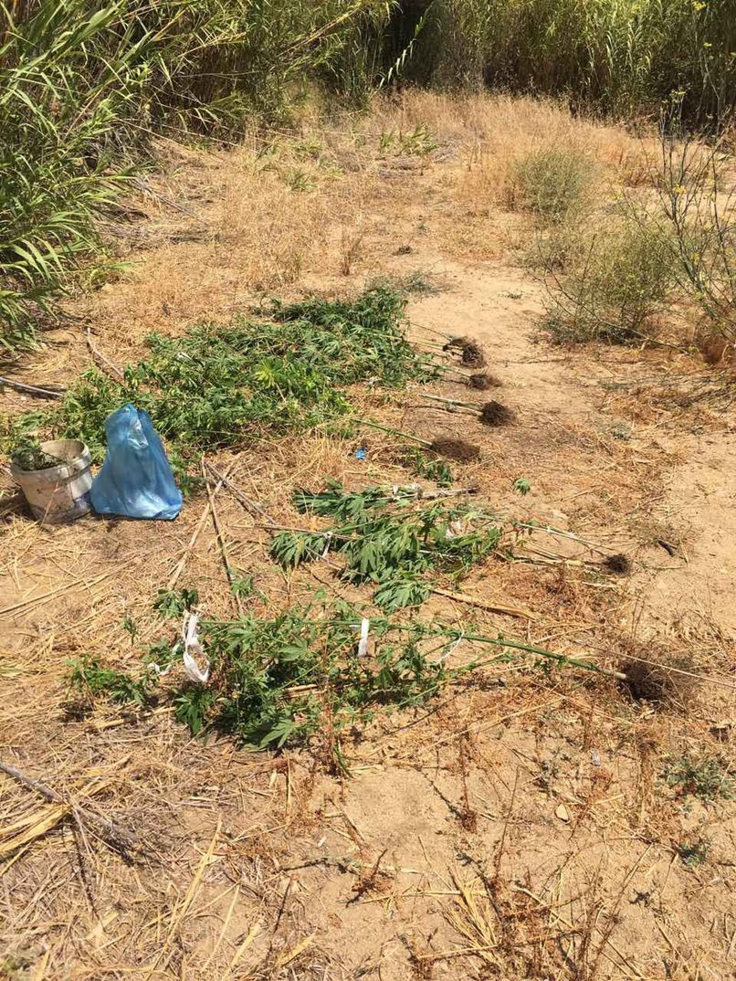 kanavi kalamiones 06