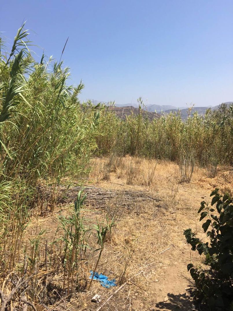 kanavi kalamiones 07