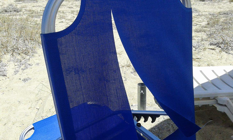 xaplostres doliofthora 1