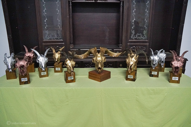 tinos challenge 2017 10