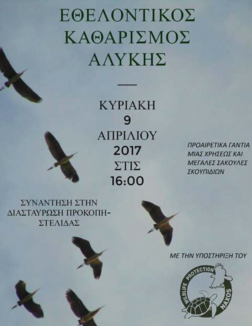 Afisa Alyki skoupidia