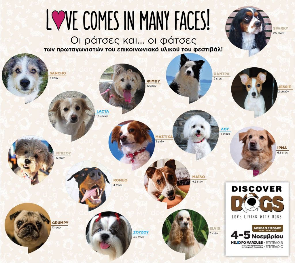 discover dogs skylia