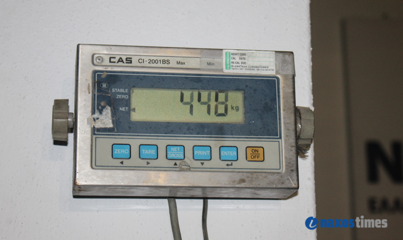 FESTIBAL PATATAS 2017 48