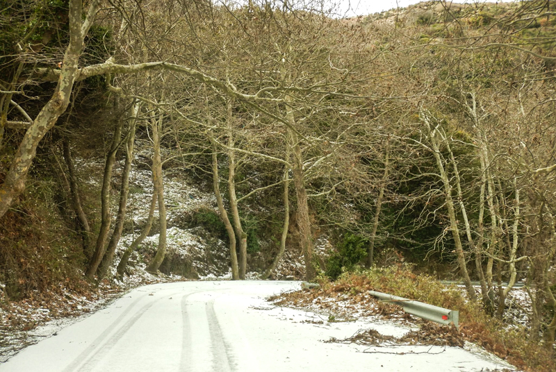 komiaki Vasilis karabinis
