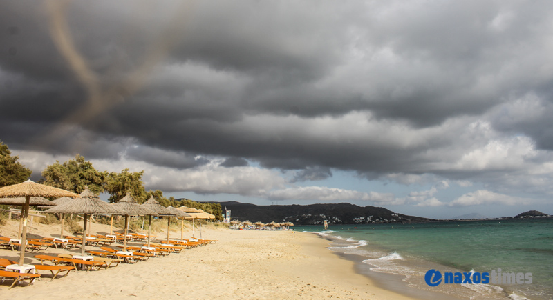 PARALIES SYNNEFIA 12