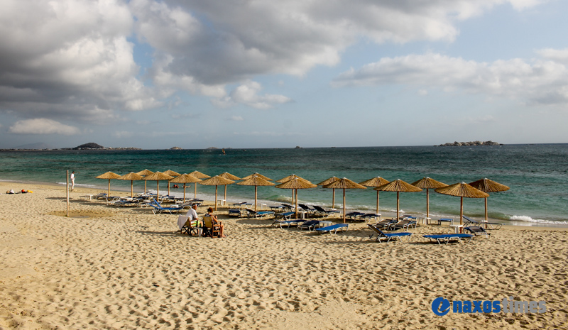 PARALIES SYNNEFIA 18