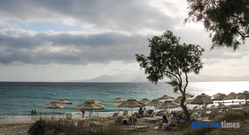 PARALIES SYNNEFIA 19