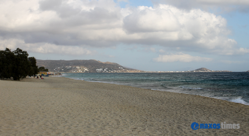 PARALIES SYNNEFIA 20