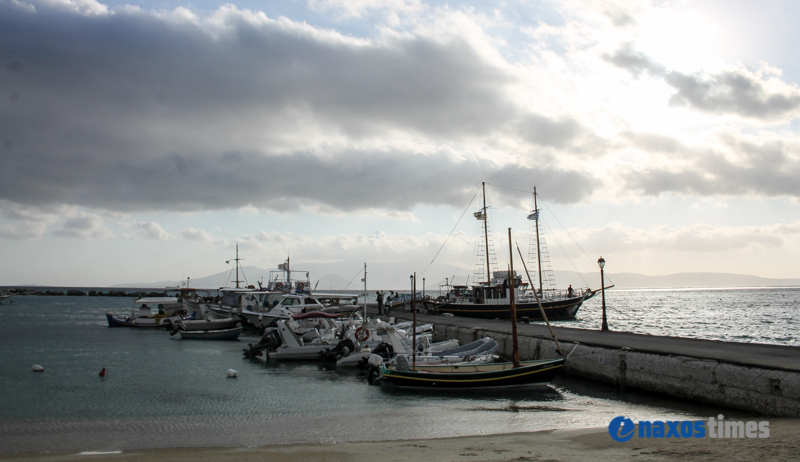 PARALIES SYNNEFIA 21