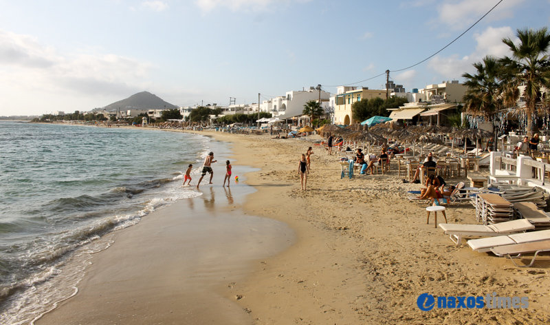 PARALIES SYNNEFIA 22