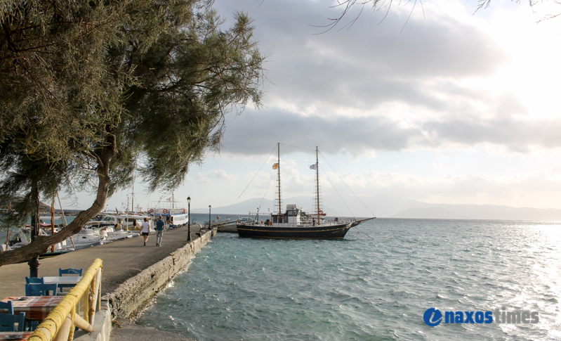 PARALIES SYNNEFIA 23