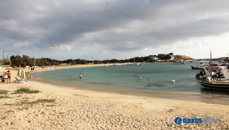 PARALIES SYNNEFIA 24