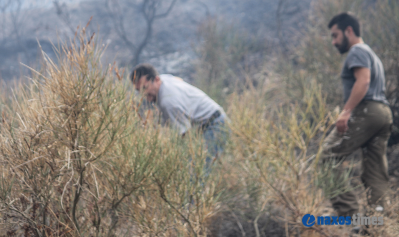 fotia komiaki xilia vrisi 13