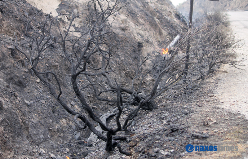 fotia komiaki xilia vrisi 23