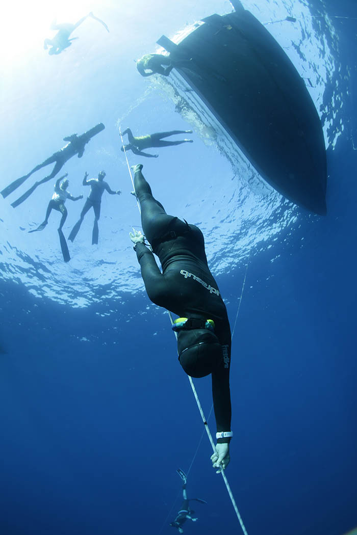 authentic big blue 2017 3