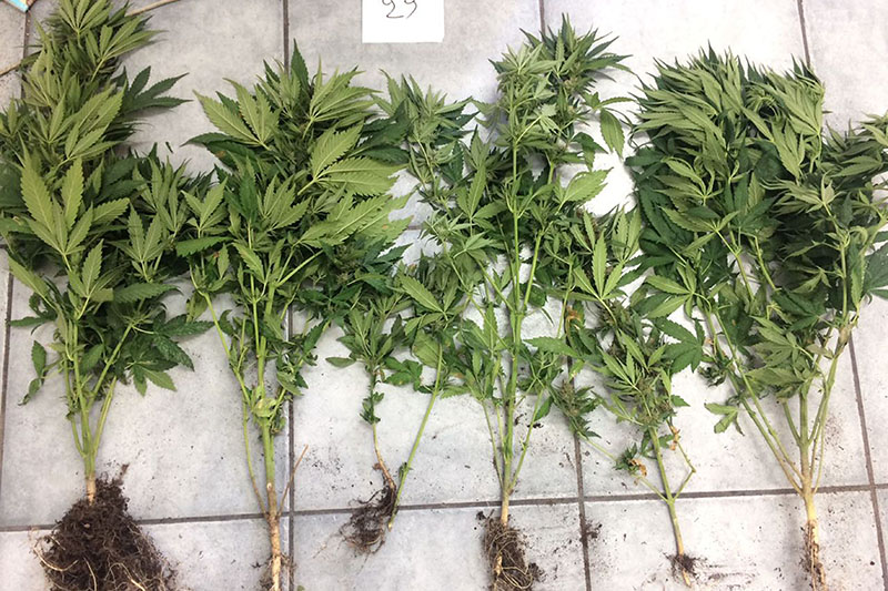 diakinisi santoriniseptembrios 2017 3