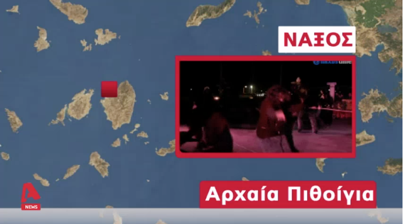 piyhoigia alpha