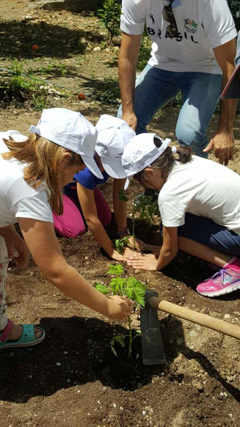 aegean gardener kos 1