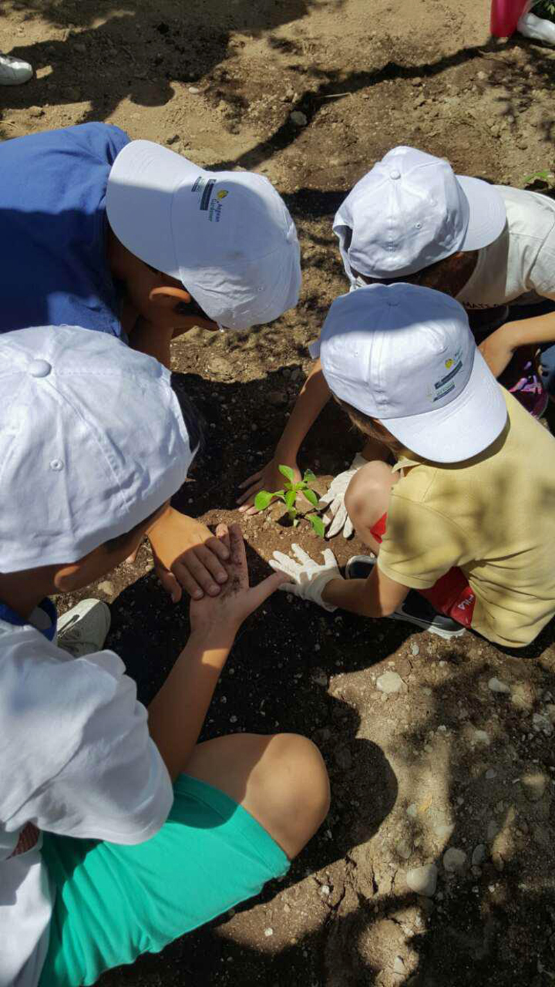 aegean gardener kos 2