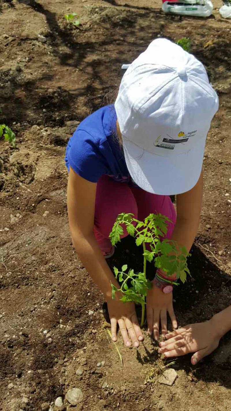 aegean gardener kos 3