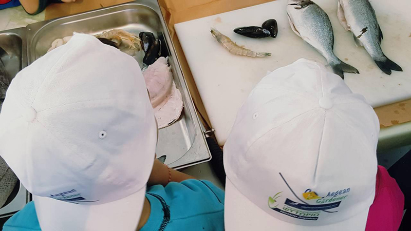 aegean mamas rodos 6