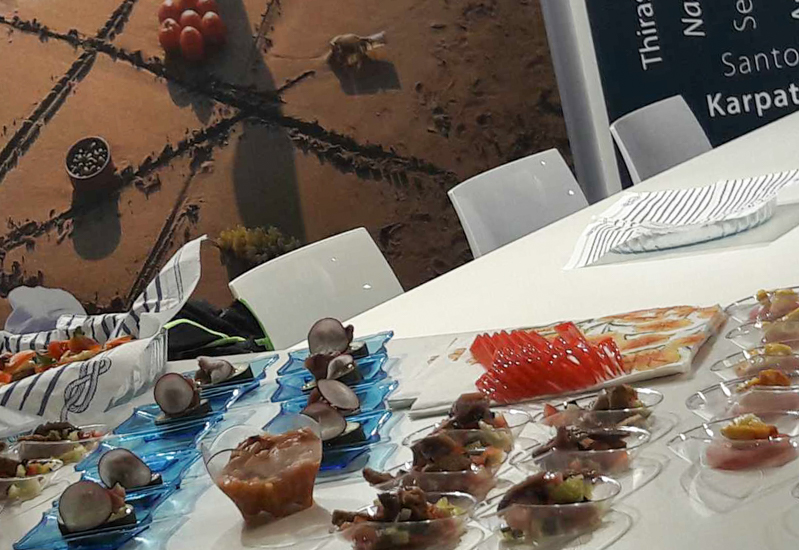 south AEGEAN REGION 2019 1