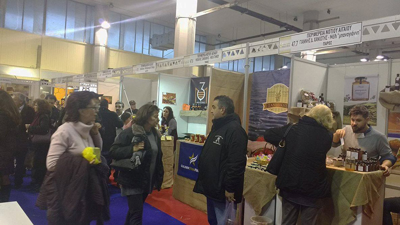 festibal melioy 2016 2