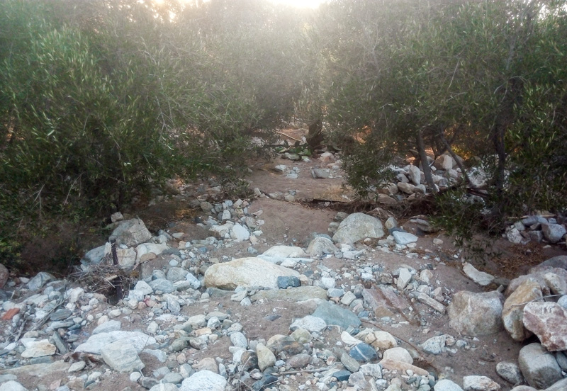 KAMPOS KATASTROFES 2