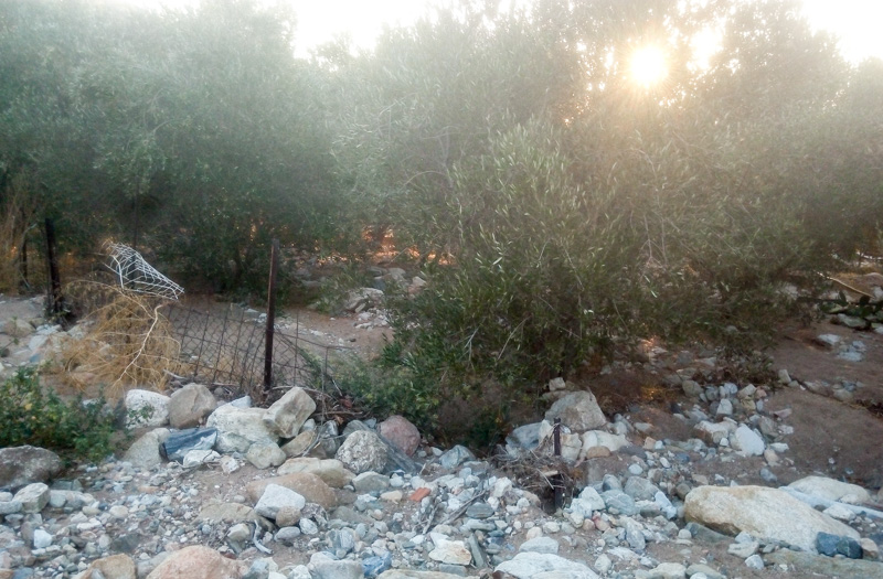 KAMPOS KATASTROFES 3