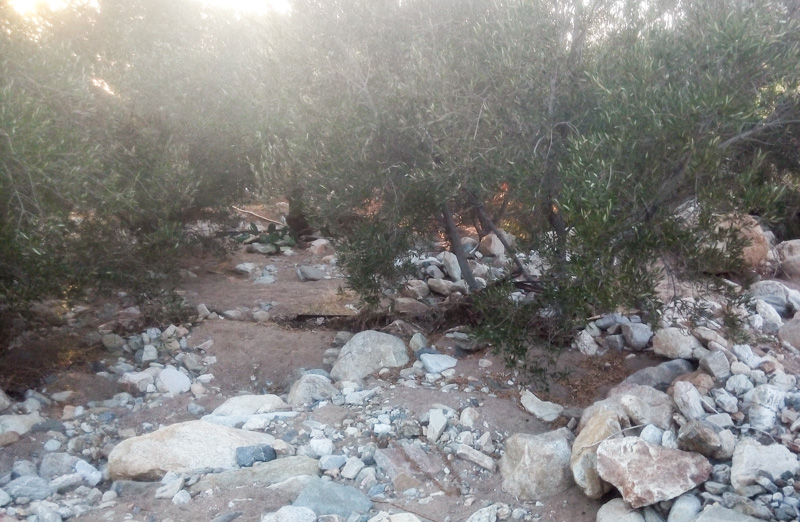 KAMPOS KATASTROFES 4