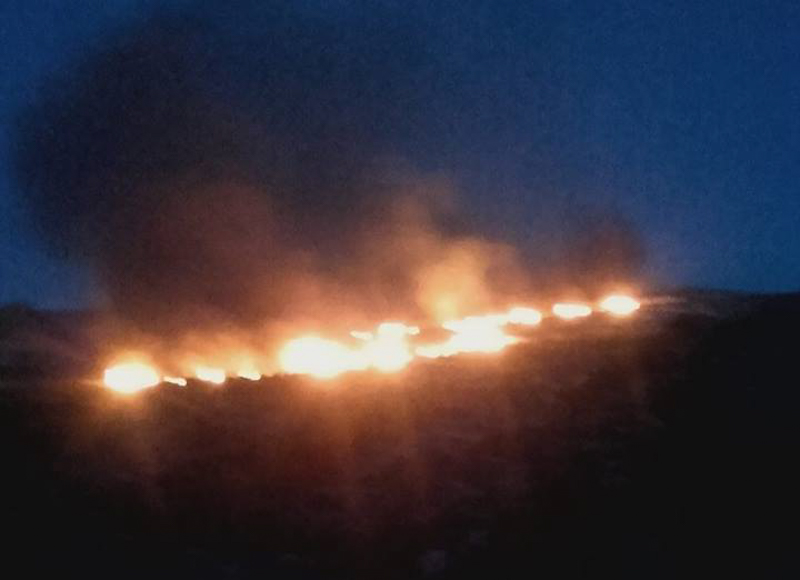 fotia apeiranthos 12