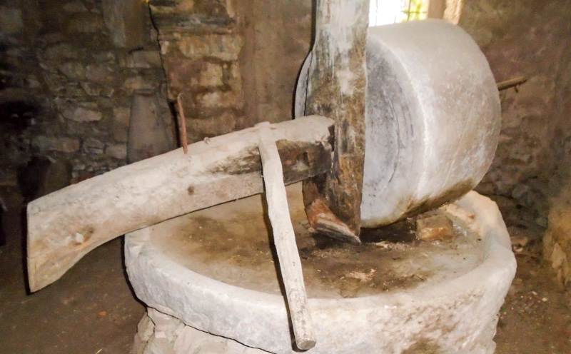 elaiotriveio ramous egkainia 7