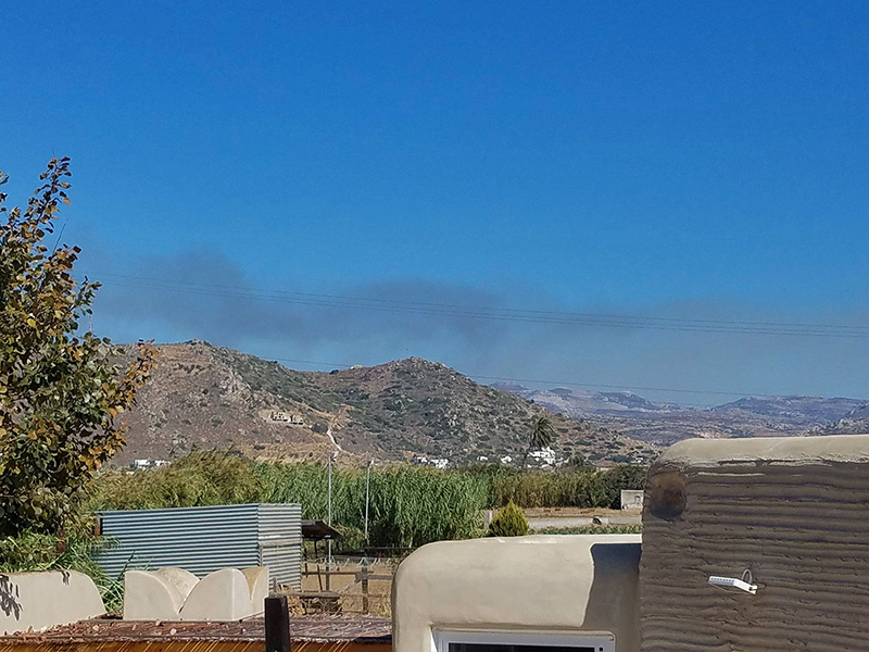 fotia koronos aygoystos 2017