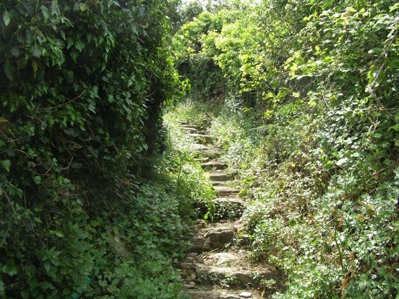 diadromi monopatia 00