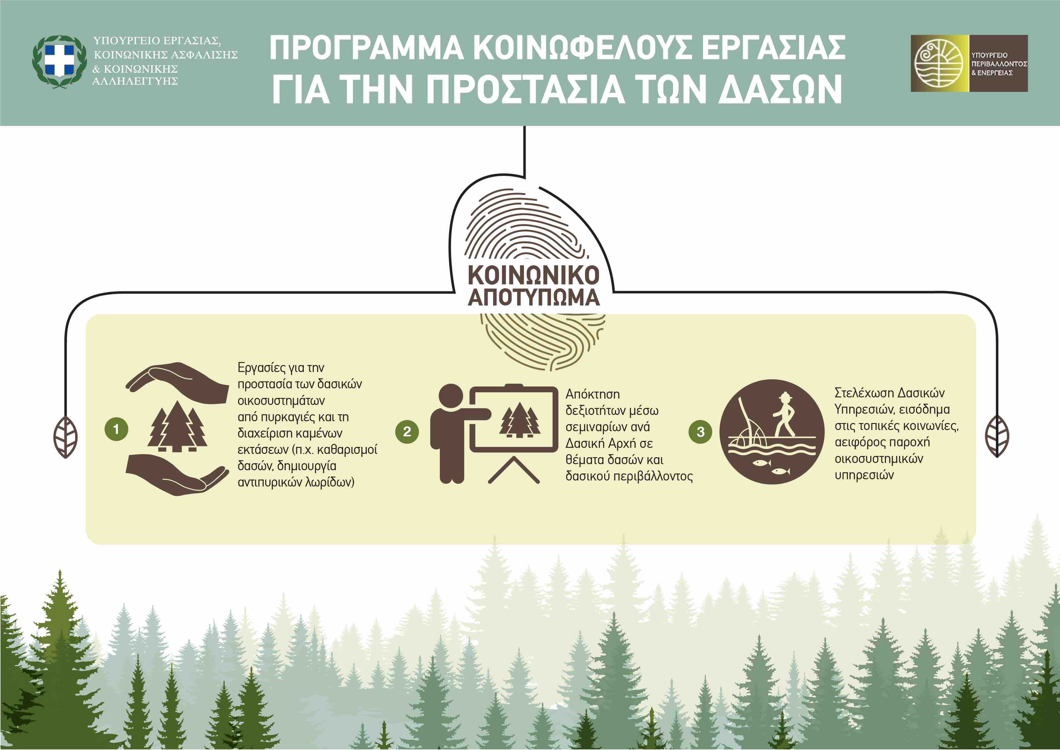 prostasia dasi 2
