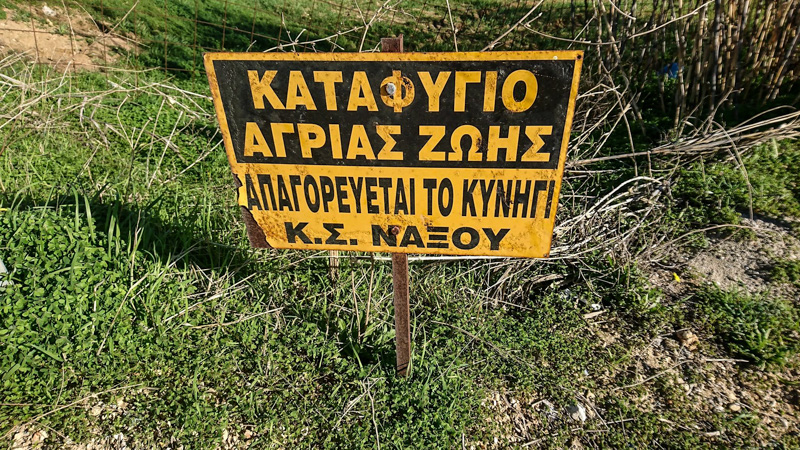 apagoreysi kinigiou alyki naxou 10