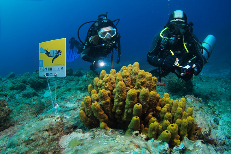 gyaros dive 2
