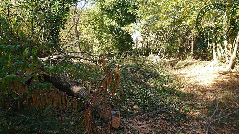 potamia noembrios 2017 1