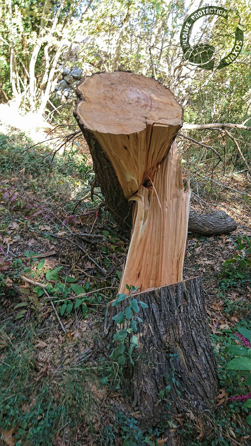 potamia noembrios 2017 5