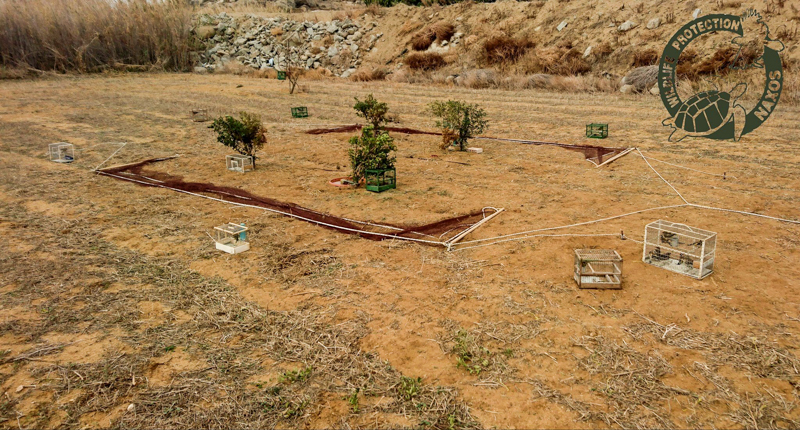 poulia pagideymena 1