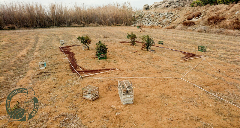 poulia pagideymena 2