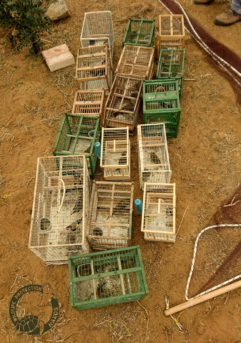 poulia pagideymena 3