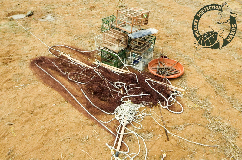 poulia pagideymena 5