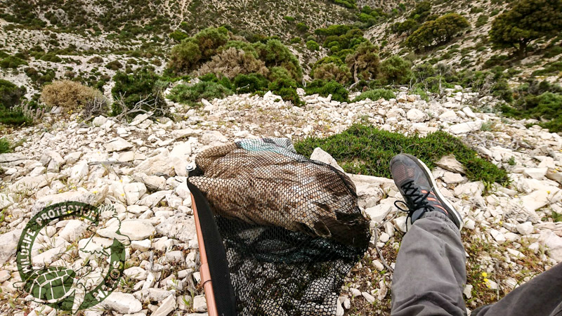 skanias diasosi 4