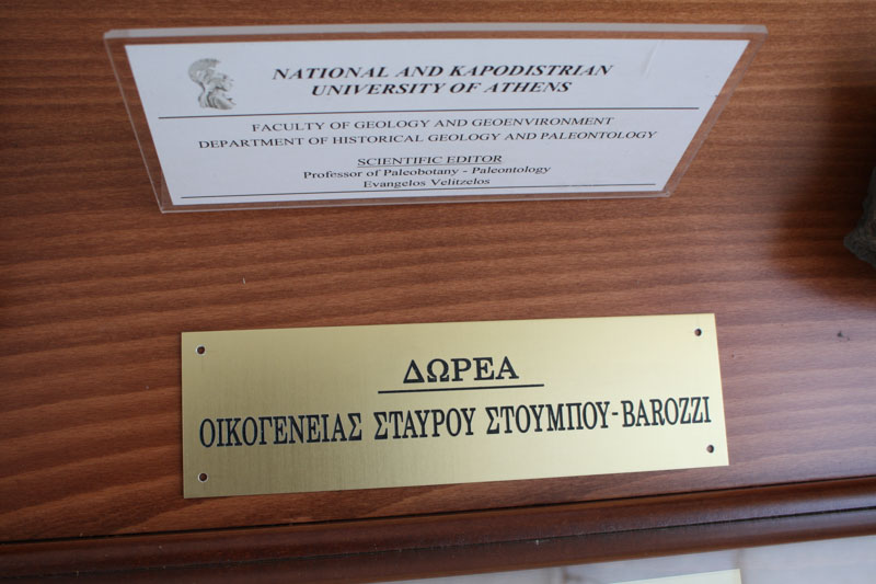 dorea apolithomata dimos 2