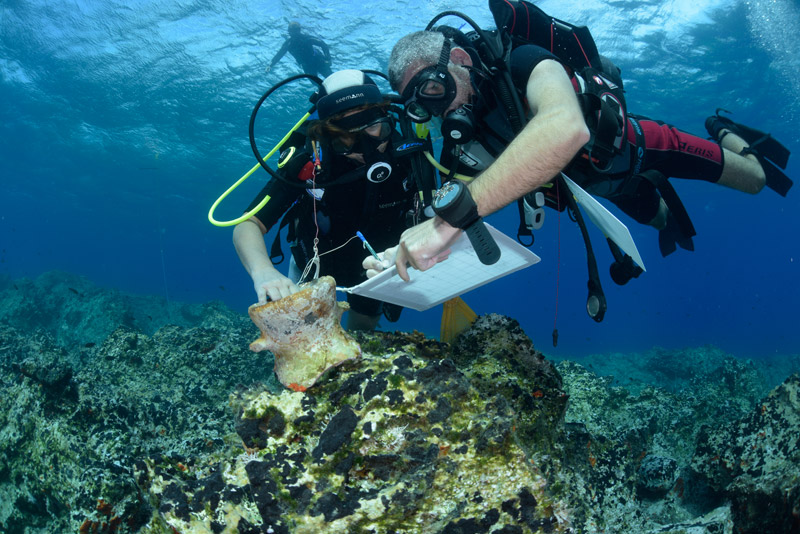 naxos ypothalasia arhea 2