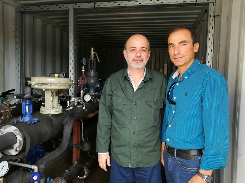 goysgoynelis tilethermansi 2