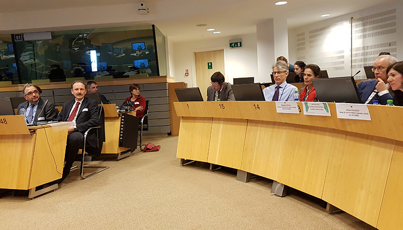 royssos bryxelles prasina nisia 1